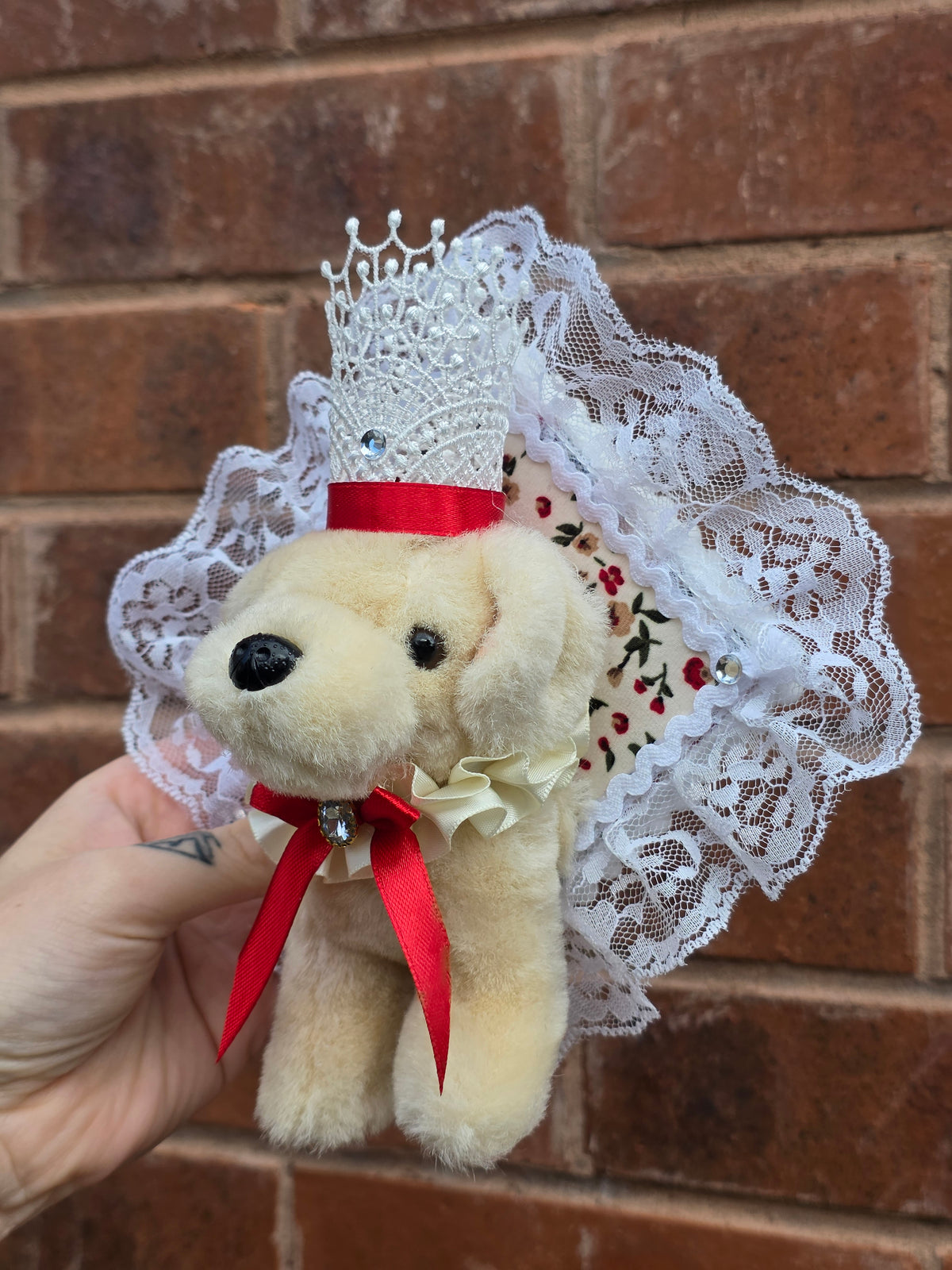 Mini king Barnaby