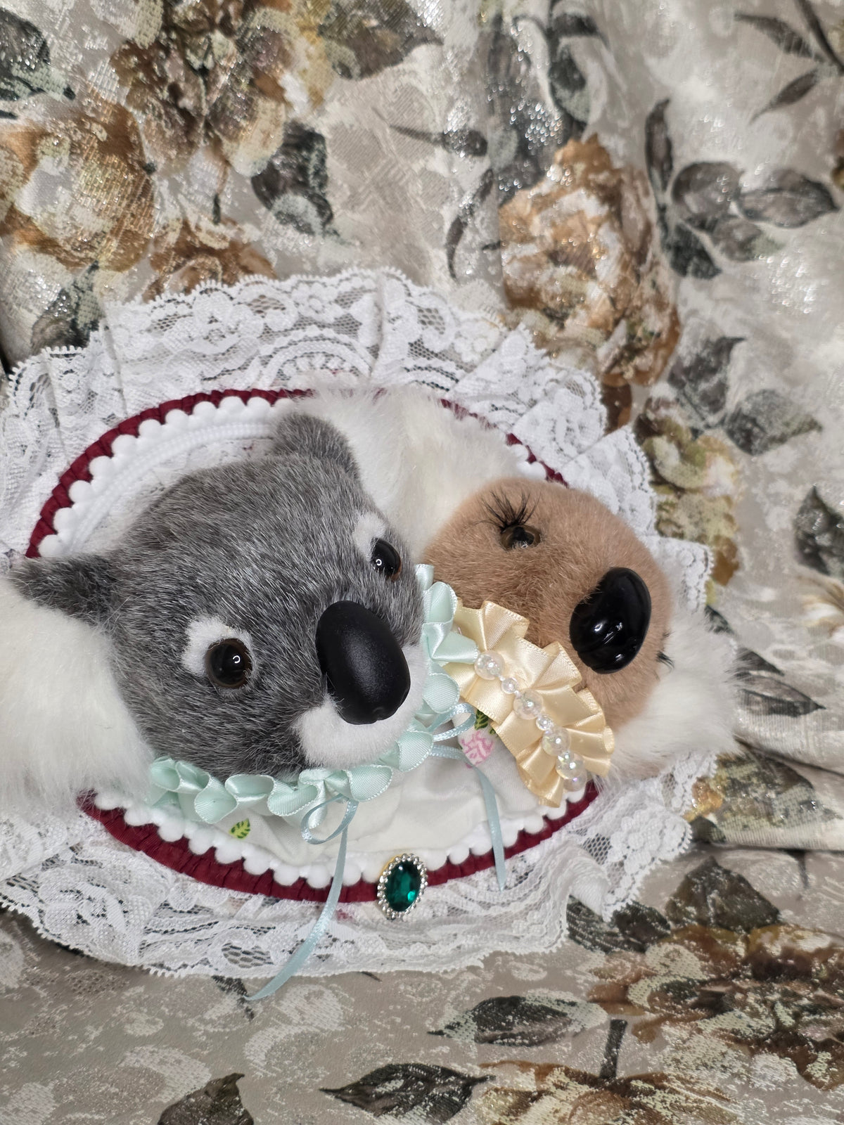 Fancy Koala Duo