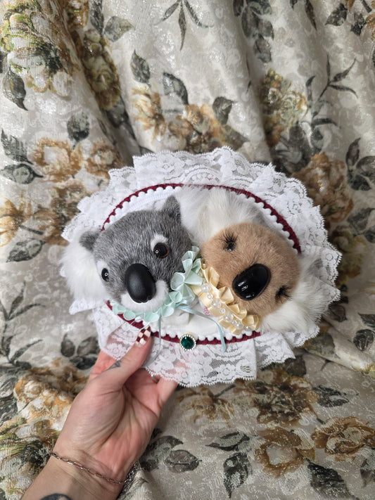 Fancy Koala Duo