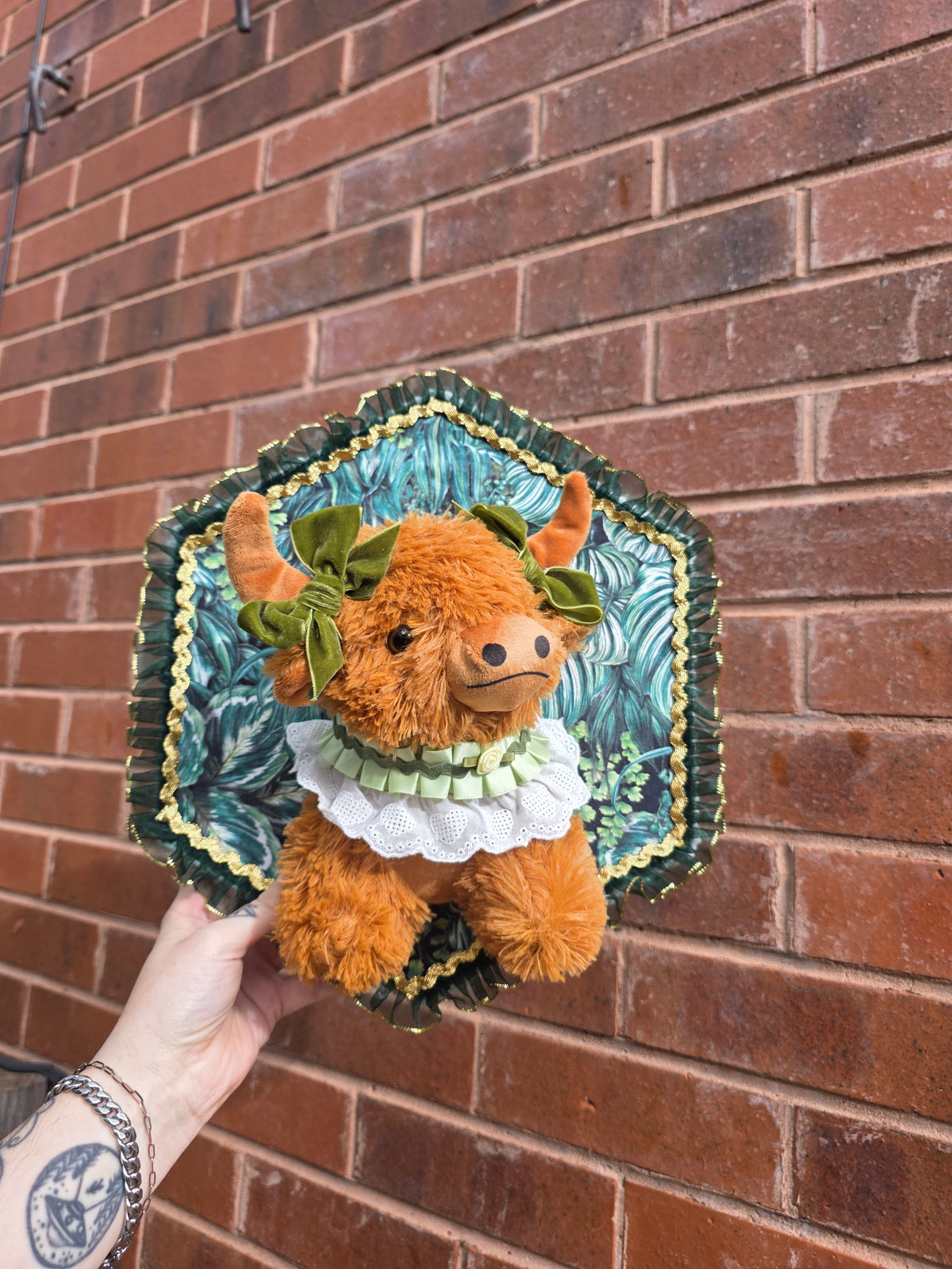 Highland cow cottage girl