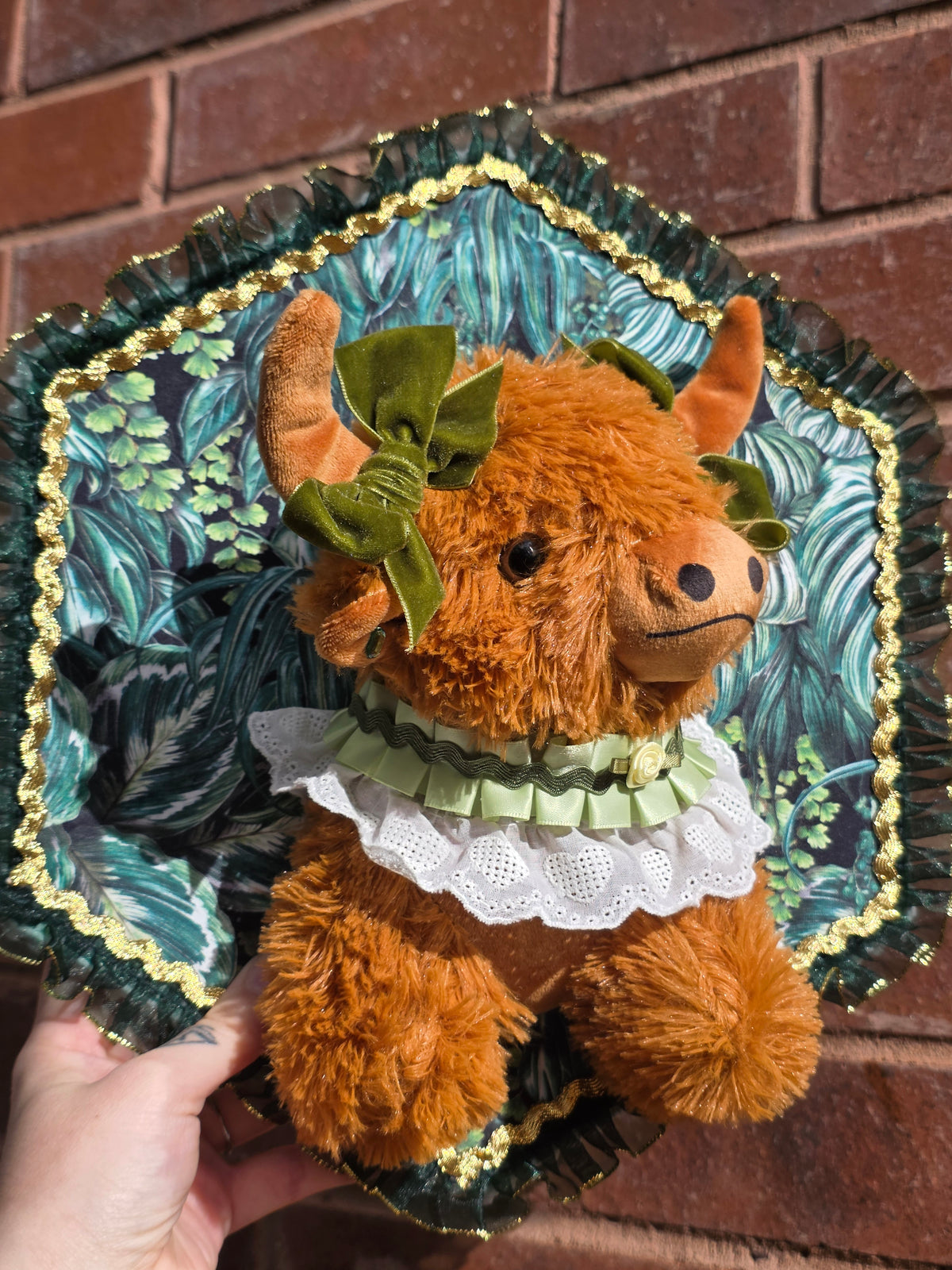 Highland cow cottage girl