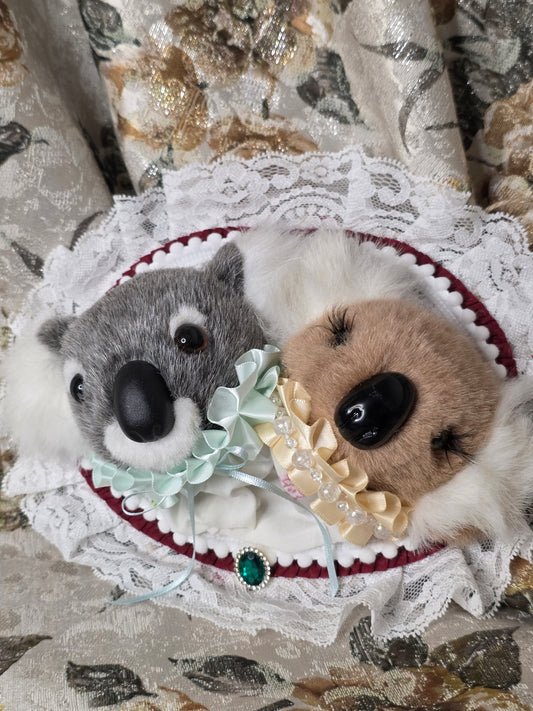 Fancy Koala Duo
