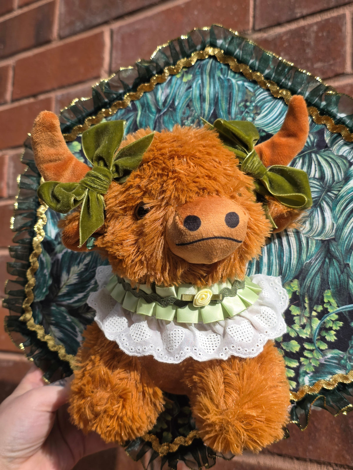 Highland cow cottage girl