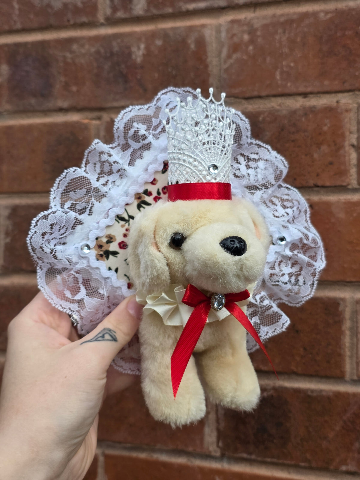 Mini king Barnaby