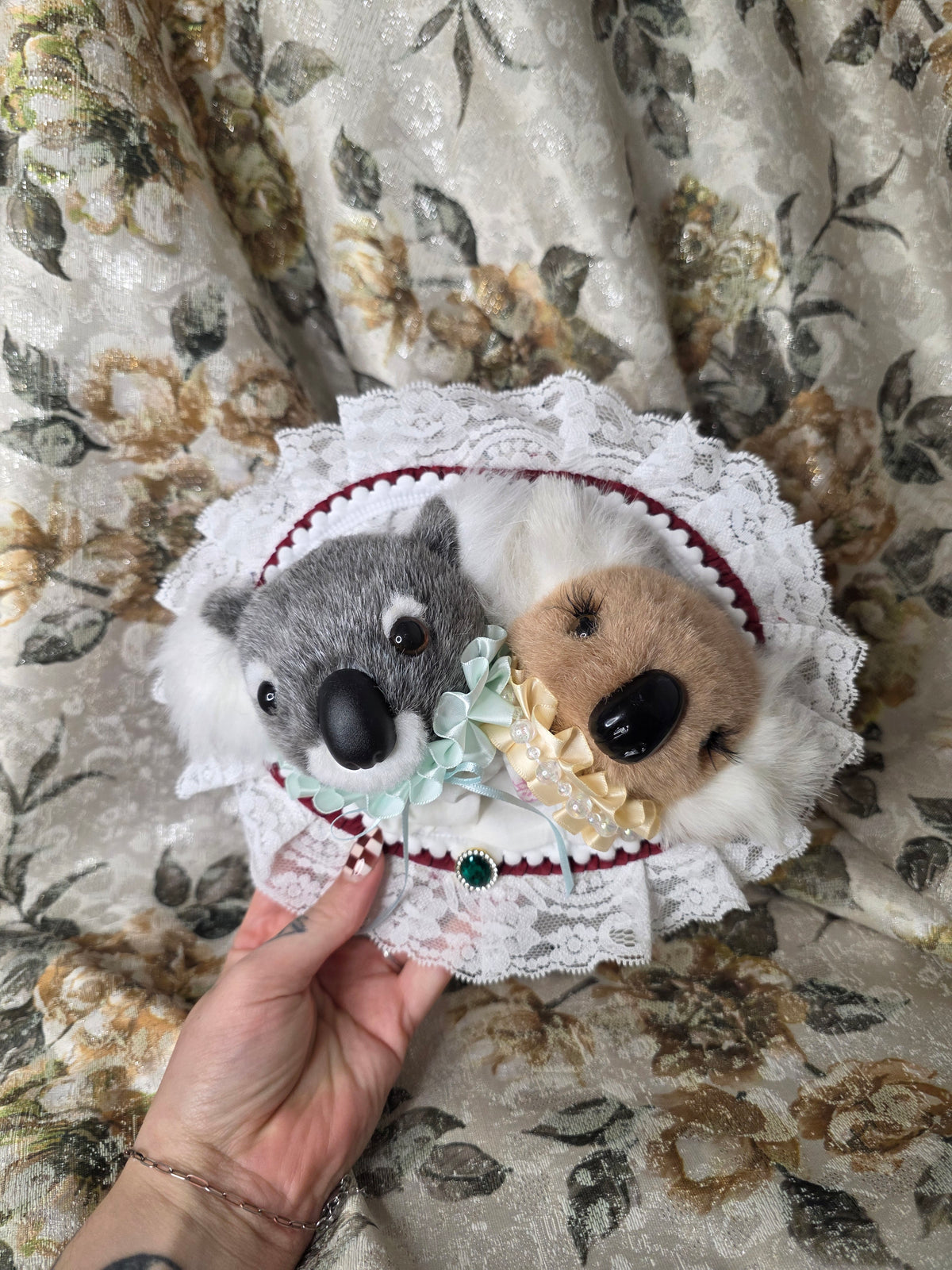 Fancy Koala Duo