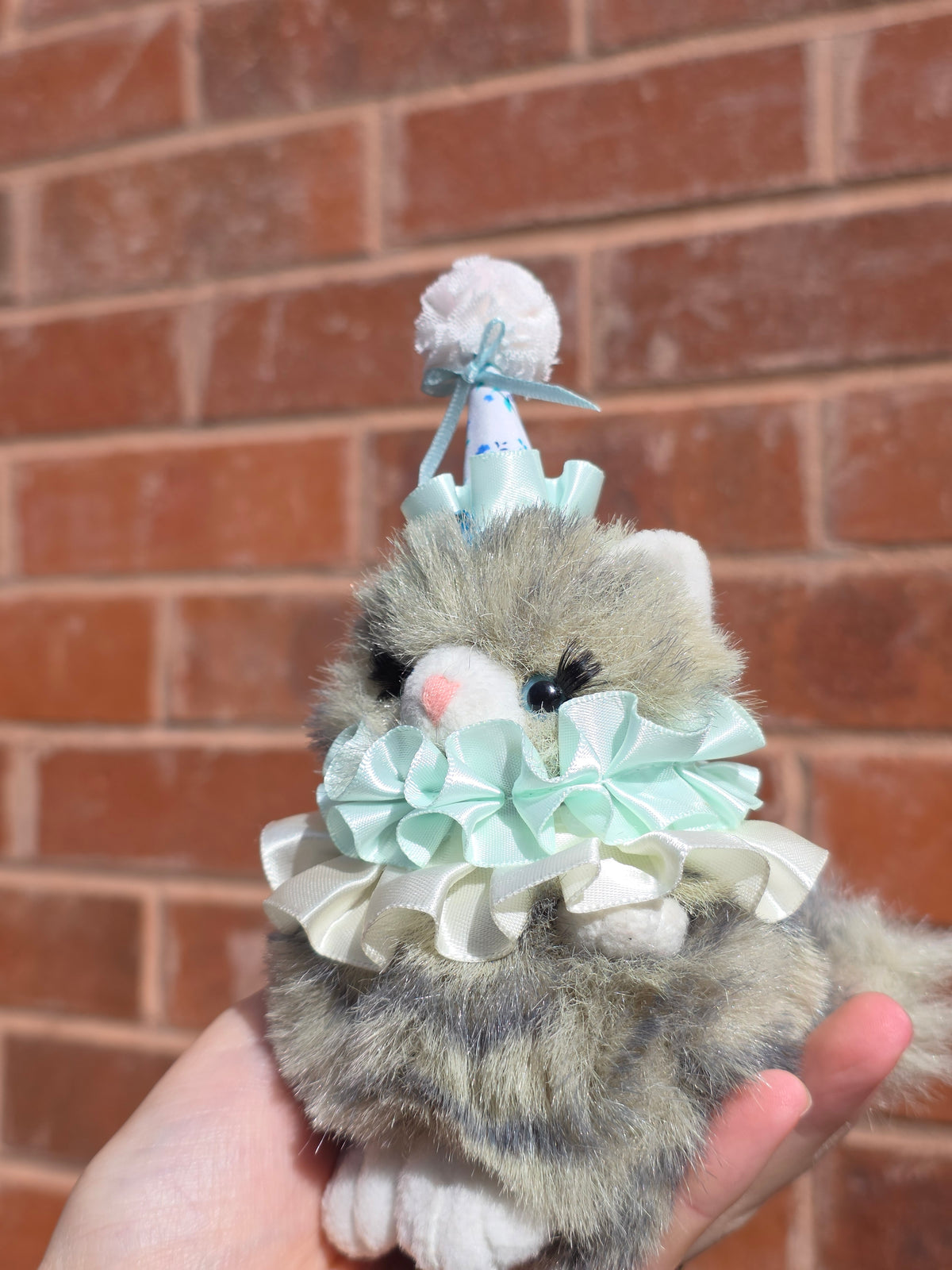 Mini Petunia