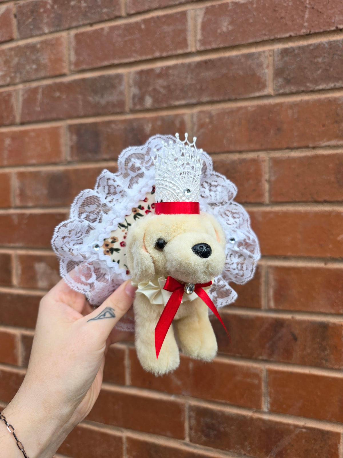 Mini king Barnaby